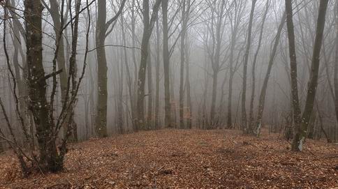 20181230_104233