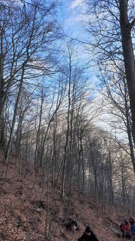 20181230_132729